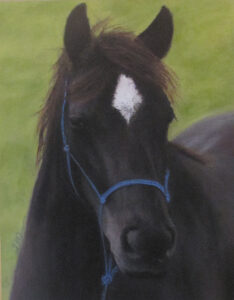 Lucy-aotearoa-artist-serena-dawson