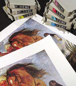 Prints_Pigment_Giclee-aotearoa-artist