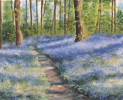 Bluebells-aotearoa-artist-bari-duncan