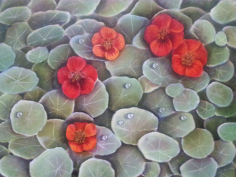 nasturtiums-aotearoa-artist-cherol-filbee