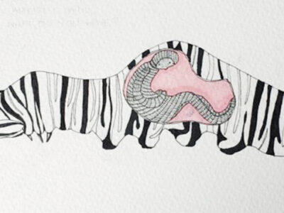 Monarch-worm-mille-dunstall-aotearoa-artist