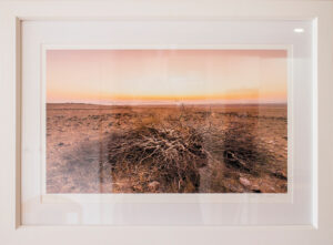 Ready Made Frame-aotearoa-artist-john-botton