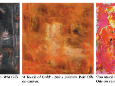 featured-pic-barbara-shaer-aotearoa-artist