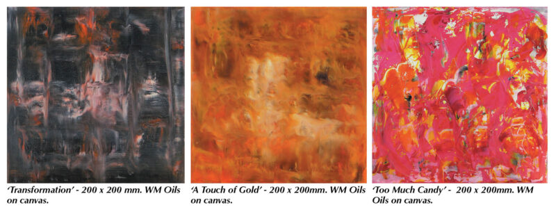 featured-pic-barbara-shaer-aotearoa-artist