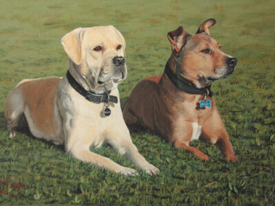 Roxy & Dolce-carla-mcknight-aotearoa-artist