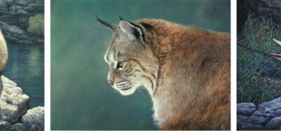 compilation4-tony-clarke-aotearoa-artist