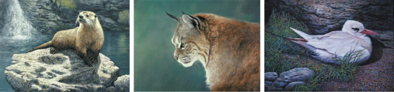 compilation4-tony-clarke-aotearoa-artist