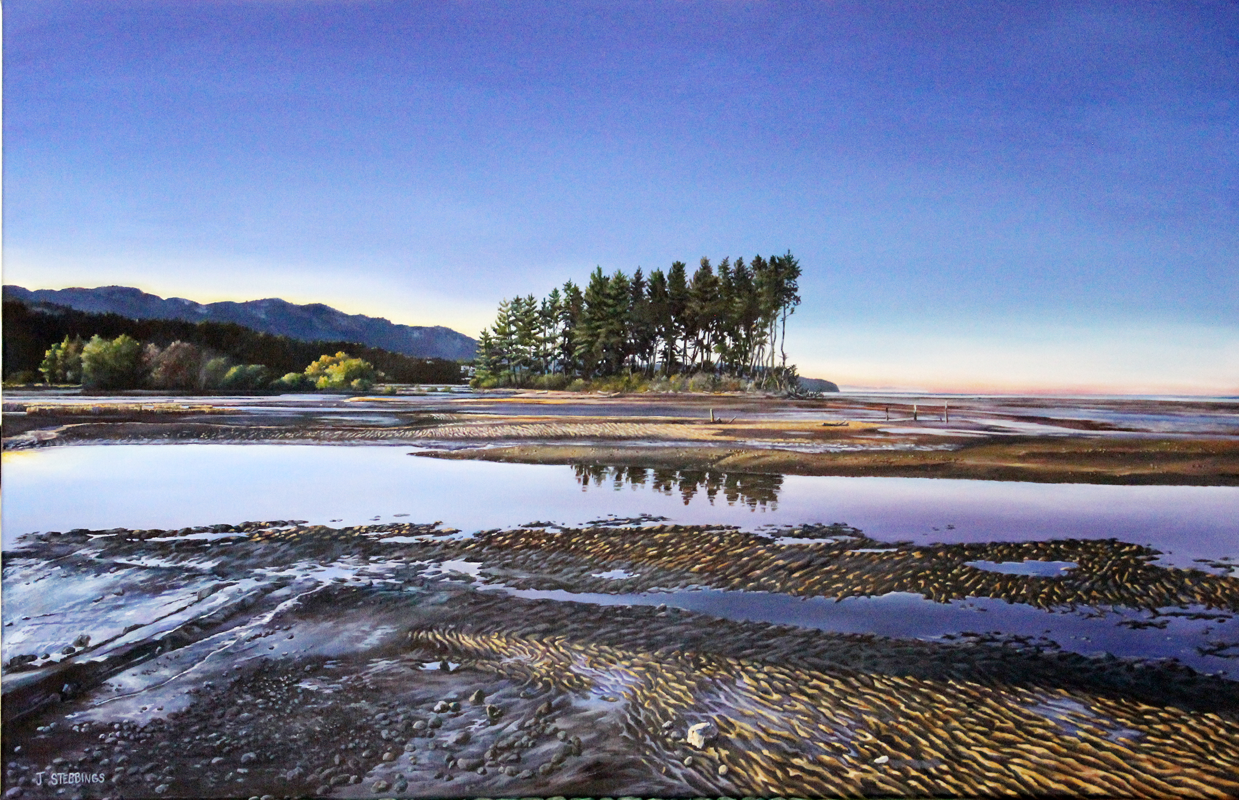 jennifer-stebbings-aotearoa-artist-Winter Light-featured