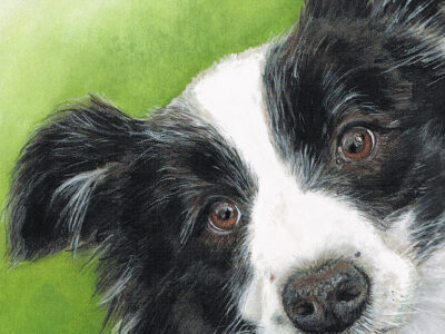 Carmen Owen - aotearoa artist