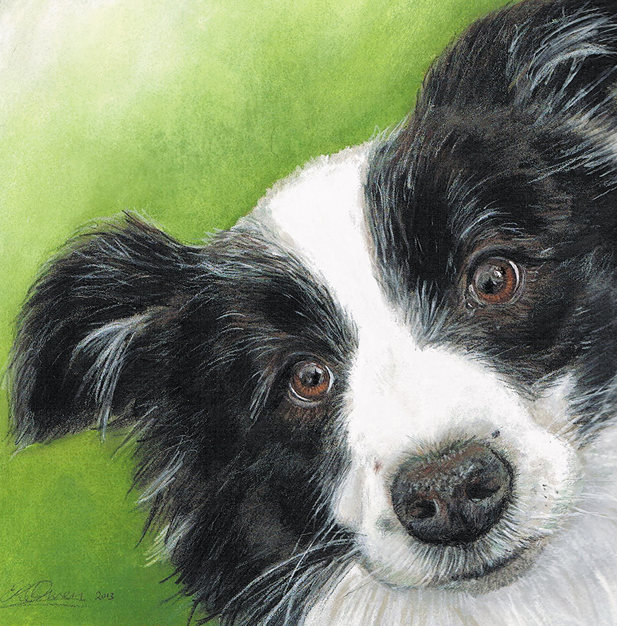 Carmen Owen - aotearoa artist