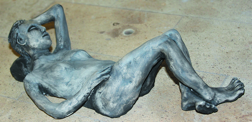 Carol Laubscher - aotearoa artist