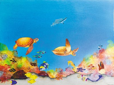 Carolyn Judge - aotearoa artist