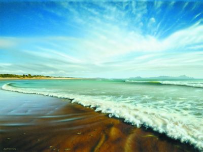 Colin Unkovich - Aotearoa Artist