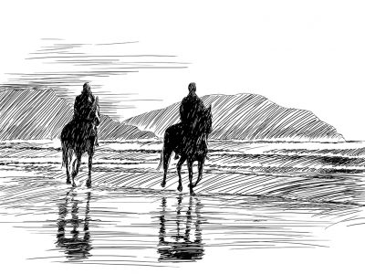 Darren Blomfield - aotearoa artist