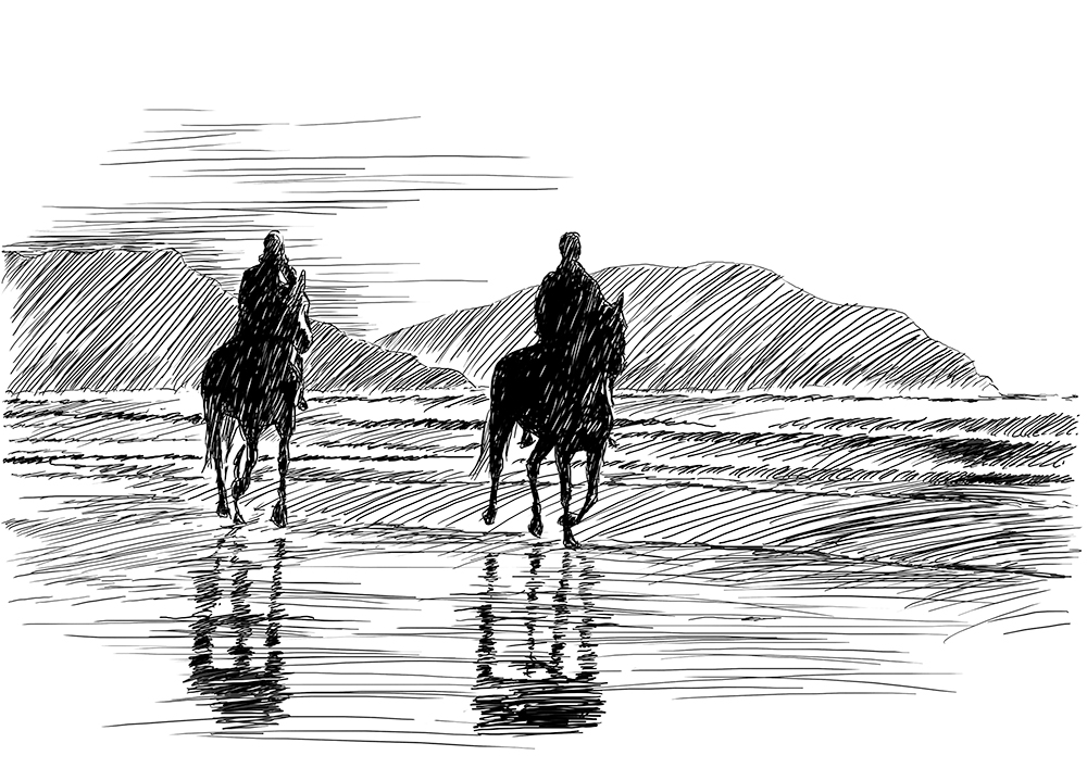 Darren Blomfield - aotearoa artist