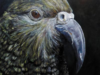 Debbie Anderson - Aotearoa Artist