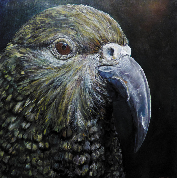 Debbie Anderson - Aotearoa Artist