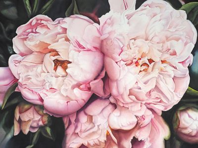 Debbie Clarke - aotearoa artist