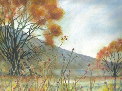 Debrina Price-Ewen - Aotearoa Artist