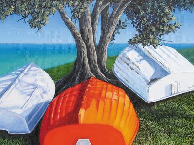 Diane Gardiner - aotearoa artist