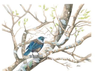 Jacqueline Hocquard - aotearoa artist