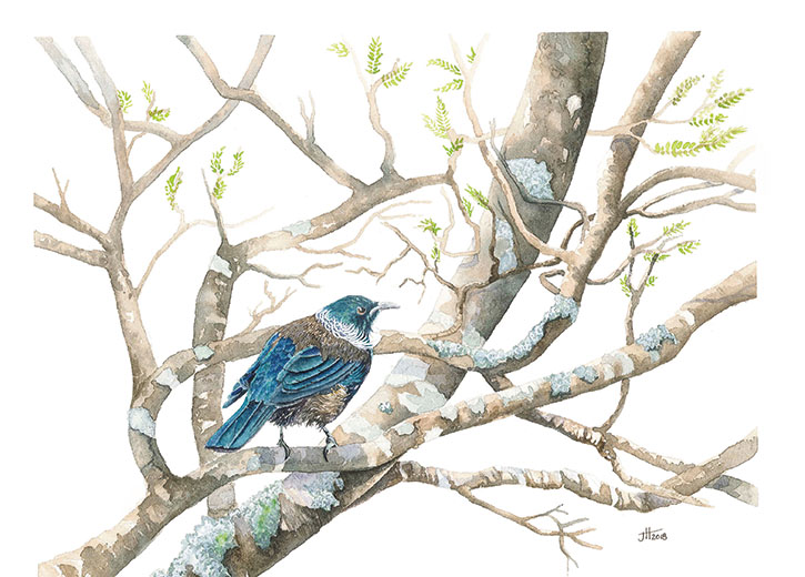 Jacqueline Hocquard - aotearoa artist