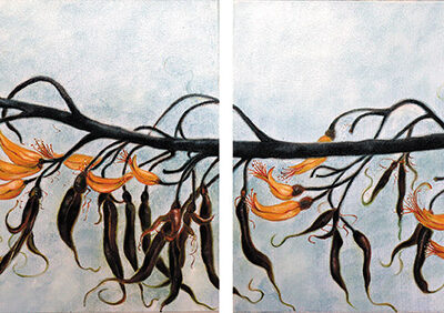 Kay Goldfinch - Aotearoa Artist