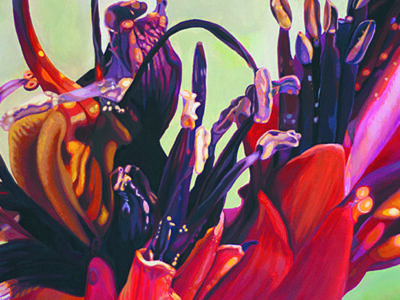 Kerry Fenton-Johns - aotearoa artist