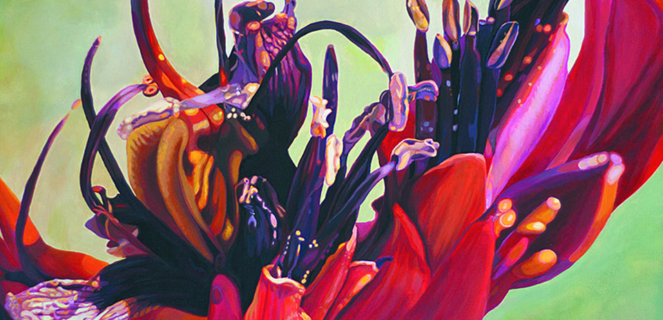 Kerry Fenton-Johns - aotearoa artist