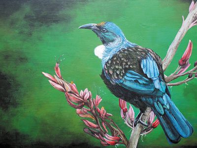 Louise Williams - aotearoa artist