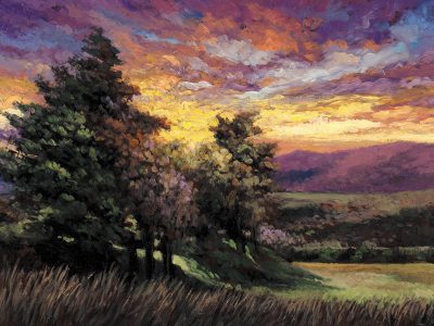 M. Francis McCarthy - aotearoa artist