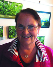 Pauline Allomes - aotearoa artist