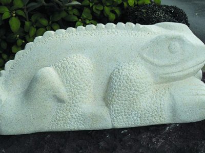 Robyn Mitchell - aotearoa artist