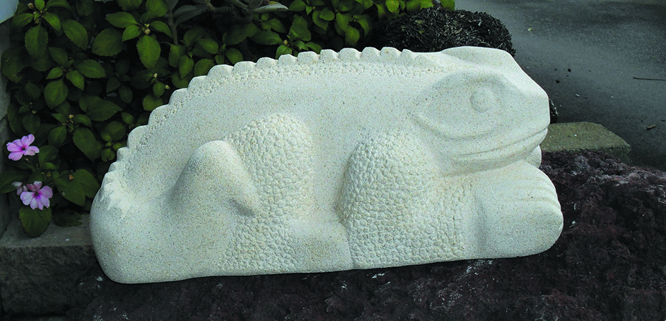 Robyn Mitchell - aotearoa artist