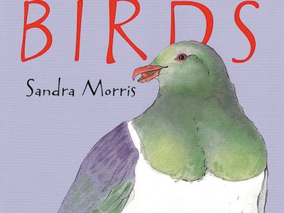 Sandra Morris - aotearoa artist