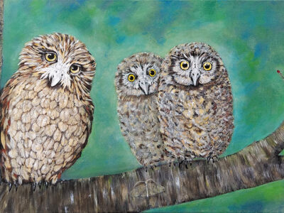 Sandy Wright - Aotearoa Artist