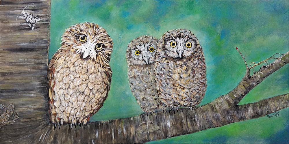 Sandy Wright - Aotearoa Artist