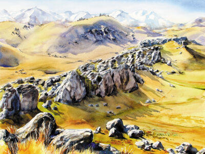 Sue Graham - Aotearoa Artist
