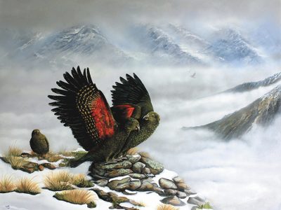 Tania Jack - Aotearoa Artist