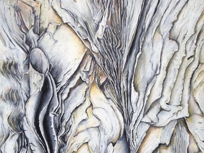 Tony McNeight - aotearoa artist