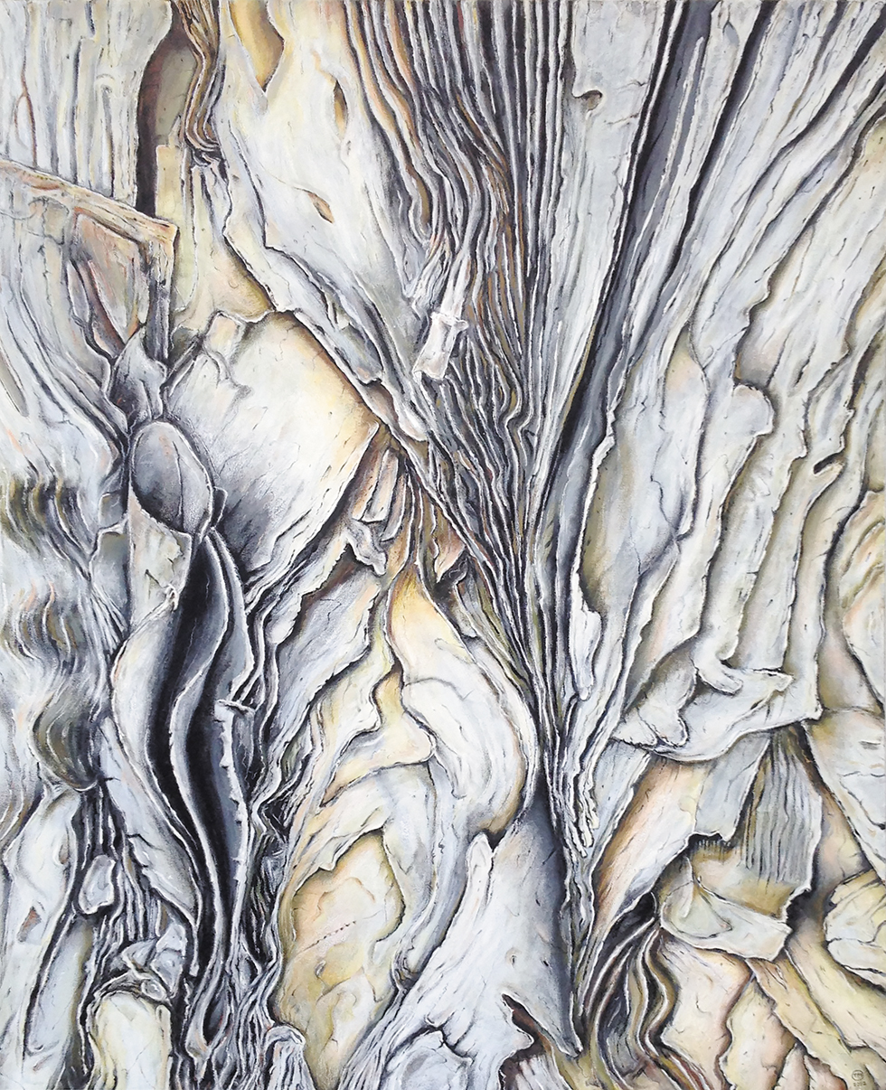 Tony McNeight - aotearoa artist