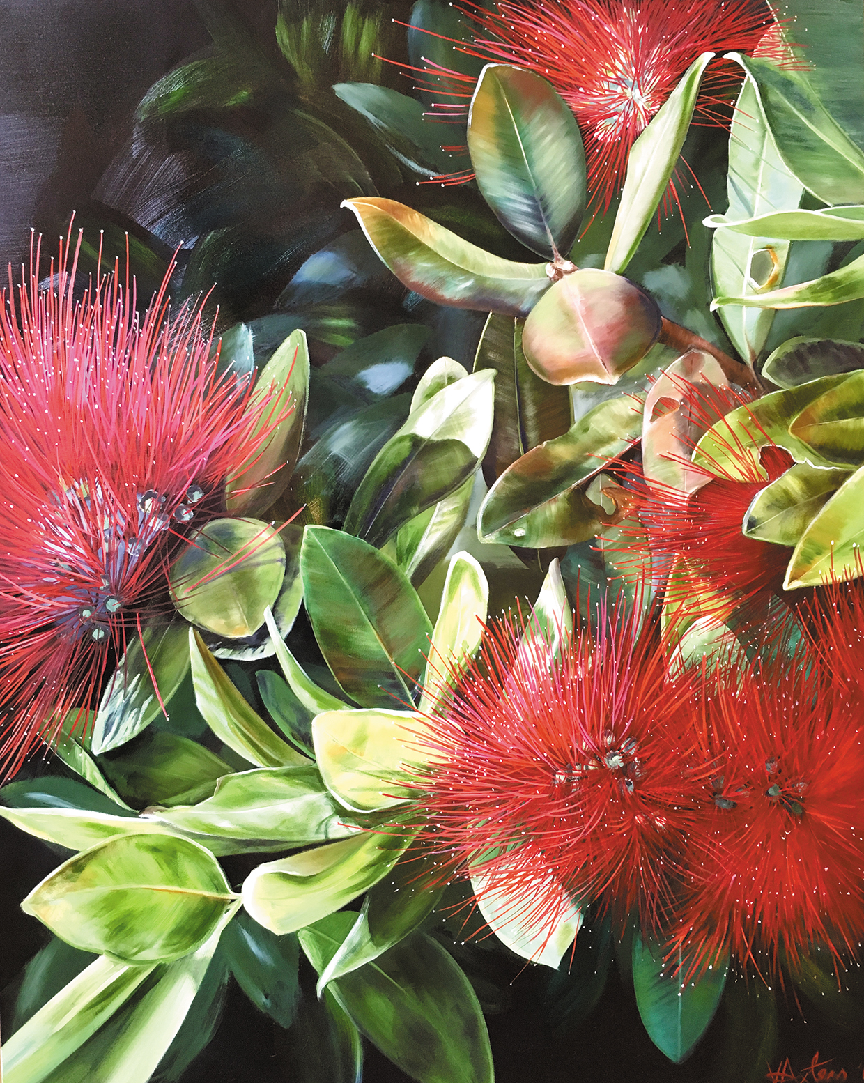 Vicki Axtens - Aotearoa Artist