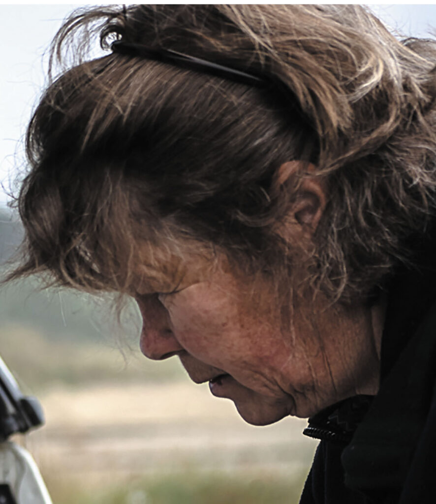 lynley-van-alphen-aotearoa-artist