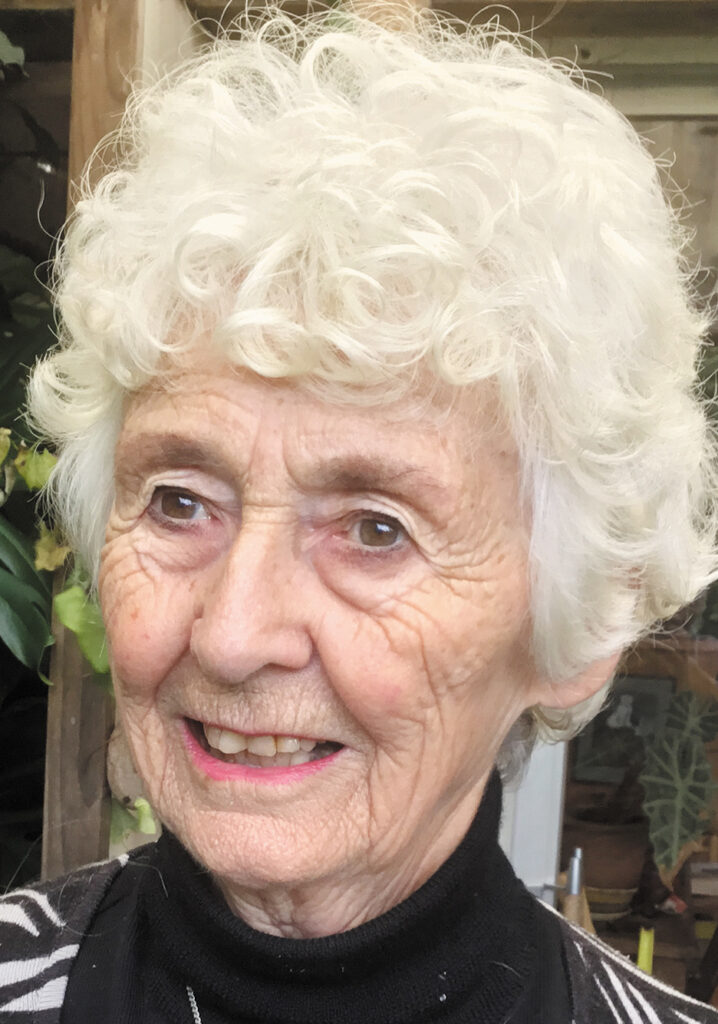 pat-nielsen-aotearoa-artist