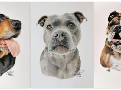 featured-vanessa-pollen-aotearoa-artist