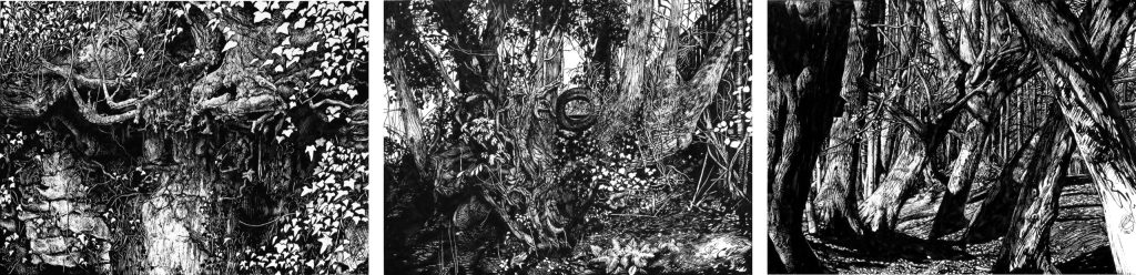 featured-amanda-bates-aotearoa-artist