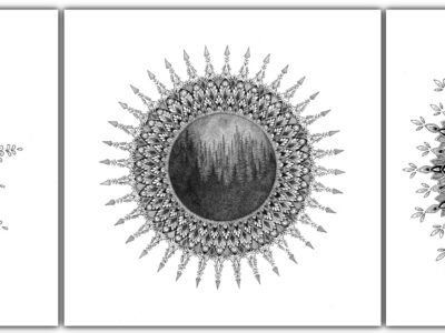 featured-eszter-luca-aotearoa-artist