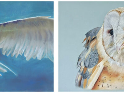 feature-karen-gourley-aotearoa-artist