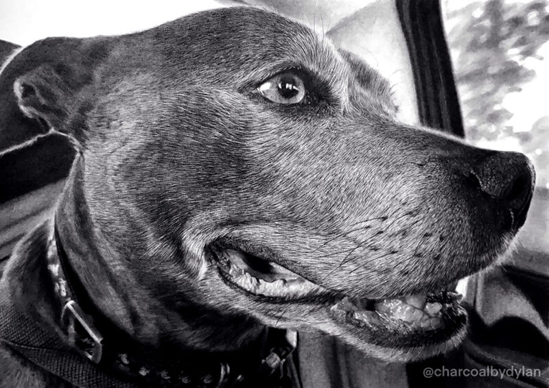 dylan-keys-aotearoa-artist-Archee-the-new-zealand-artist-magazine