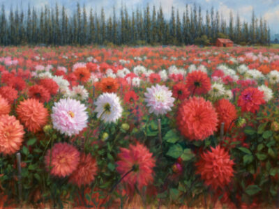 Field of dahlias-Livia-Dias-aotearoa-artist